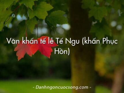 Văn khấn tế lễ Tế Ngu (khấn Phục Hồn)