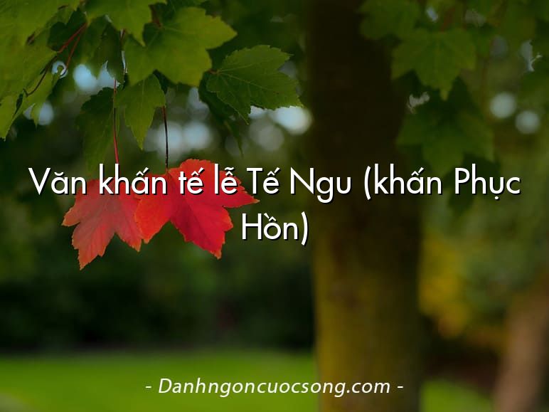 Văn khấn tế lễ Tế Ngu (khấn Phục Hồn)