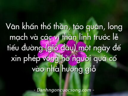 Văn khấn thổ thần, táo quân, long mạch và các vị thần linh trước lễ tiểu đường (giỗ đầu) một ngày để xin phép vong hồ người quá cố vào nhà hưởng giỗ