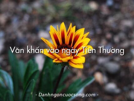 Văn khấn vào ngày Tiên Thường