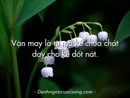 Vận may là từ mà kẻ chua chát dạy cho kẻ dốt nát.