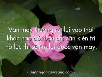 Vận may thường rút lui vào thời khắc nào đó. Bạn chỉ cần kiên trì nỗ lực thì sẽ tìm lại được vận may.