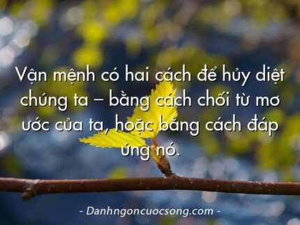 Vận mệnh có hai cách để hủy diệt chúng ta – bằng cách chối từ mơ ước của ta, hoặc bằng cách đáp ứng nó.