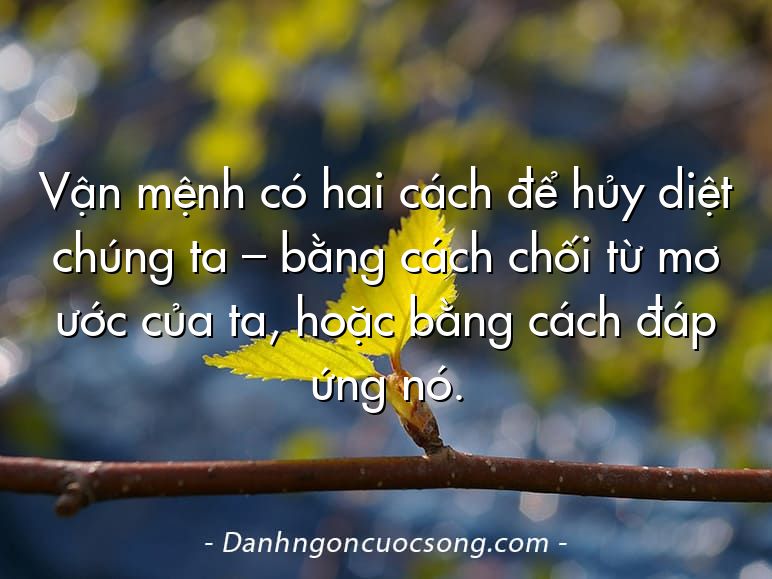 Vận mệnh có hai cách để hủy diệt chúng ta – bằng cách chối từ mơ ước của ta, hoặc bằng cách đáp ứng nó.