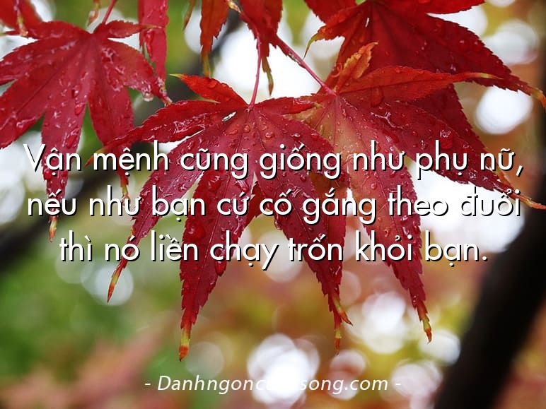Vận mệnh cũng giống như phụ nữ, nếu như bạn cứ cố gắng theo đuổi thì nó liền chạy trốn khỏi bạn.