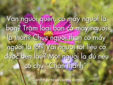 Vạn người quen, có mấy người là bạn? Trăm loại bạn có mấy người là thân? Chục người thân có mấy người là tốt? Vài người tốt liệu có được bền lâu? Một người là đủ nếu có chữ “Chân thành”.