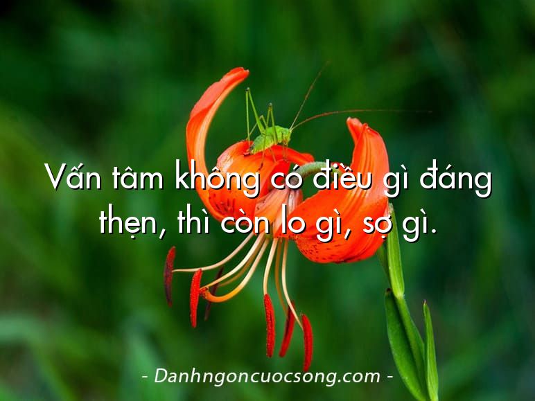 Vấn tâm không có điều gì đáng thẹn, thì còn lo gì, sợ gì.