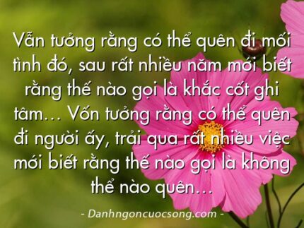 Vẫn tưởng rằng có thể quên đi mối tình đó, sau rất nhiều năm mới biết rằng thế nào gọi là khắc cốt ghi tâm… Vốn tưởng rằng có thể quên đi người ấy, trải qua rất nhiều việc mới biết rằng thế nào gọi là không thể nào quên…