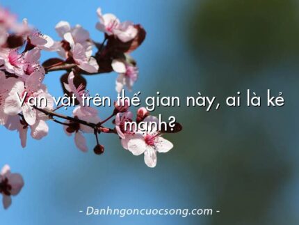 Vạn vật trên thế gian này, ai là kẻ mạnh?