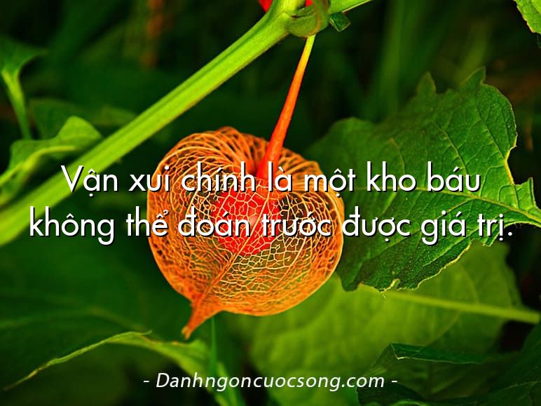 Vận xui chính là một kho báu không thể đoán trước được giá trị.