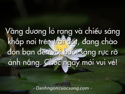 Vầng dương ló rạng và chiếu sáng khắp nơi trên trái đất, đang chào đón bạn đến với buổi sáng rực rỡ ánh nắng. Chúc ngày mới vui vẻ!