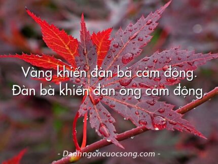 Vàng khiến đàn bà cảm động. Đàn bà khiến đàn ông cảm động.