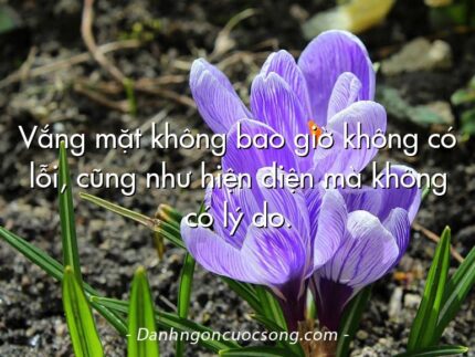 Vắng mặt không bao giờ không có lỗi, cũng như hiện diện mà không có lý do.