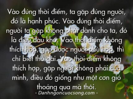 Vào đúng thời điểm, ta gặp đúng người, đó là hạnh phúc. Vào đúng thời điểm, người ta gặp không phải dành cho ta, đó là điều đau khổ. Vào thời điểm không thích hợp, gặp được người phù hợp, thì chỉ biết thở dài. Vào thời điểm không thích hợp, gặp người không phải của mình, điều đó giống như một cơn gió thoảng qua mà thôi.