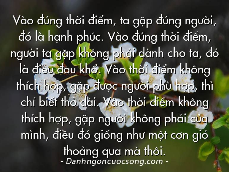 Vào đúng thời điểm, ta gặp đúng người, đó là hạnh phúc. Vào đúng thời điểm, người ta gặp không phải dành cho ta, đó là điều đau khổ. Vào thời điểm không thích hợp, gặp được người phù hợp, thì chỉ biết thở dài. Vào thời điểm không thích hợp, gặp người không phải của mình, điều đó giống như một cơn gió thoảng qua mà thôi.