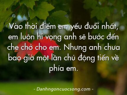 Vào thời điểm em yếu đuối nhất, em luôn hi vọng anh sẽ bước đến che chở cho em. Nhưng anh chưa bao giờ một lần chủ động tiến về phía em.