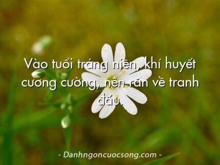 Vào tuổi tráng niên, khí huyết cương cường, nên răn về tranh đấu.