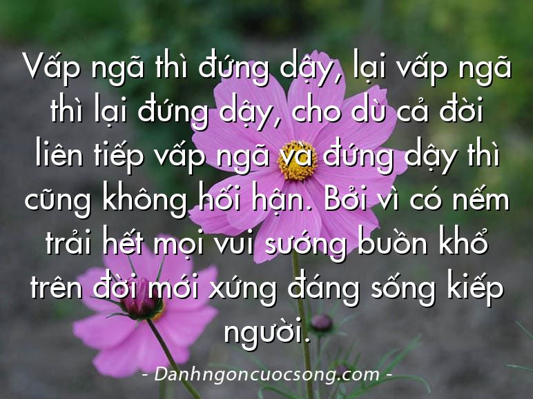 Vấp ngã thì đứng dậy, lại vấp ngã thì lại đứng dậy, cho dù cả đời liên tiếp vấp ngã và đứng dậy thì cũng không hối hận. Bởi vì có nếm trải hết mọi vui sướng buồn khổ trên đời mới xứng đáng sống kiếp người.