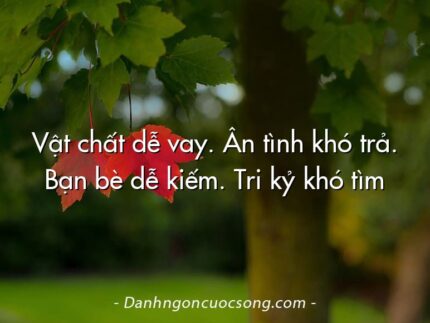 Vật chất dễ vay. Ân tình khó trả. Bạn bè dễ kiếm. Tri kỷ khó tìm