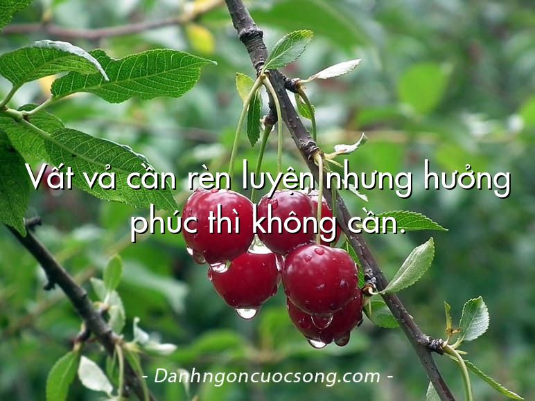Vất vả cần rèn luyện nhưng hưởng phúc thì không cần.