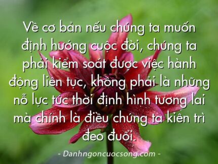 Về cơ bản nếu chúng ta muốn định hướng cuộc đời, chúng ta phải kiểm soát được việc hành động liên tục, không phải là những nỗ lực tức thời định hình tương lai mà chính là điều chúng ta kiên trì đeo đuổi.