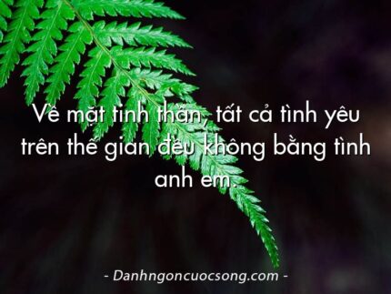 Về mặt tinh thần, tất cả tình yêu trên thế gian đều không bằng tình anh em.
