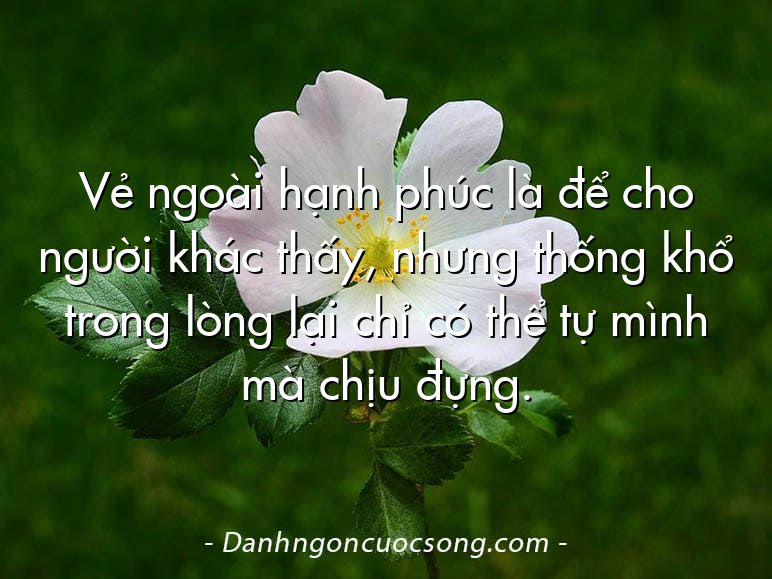 Vẻ ngoài hạnh phúc là để cho người khác thấy, nhưng thống khổ trong lòng lại chỉ có thể tự mình mà chịu đựng.