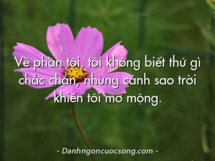Về phần tôi, tôi không biết thứ gì chắc chắn, nhưng cảnh sao trời khiến tôi mơ mộng.