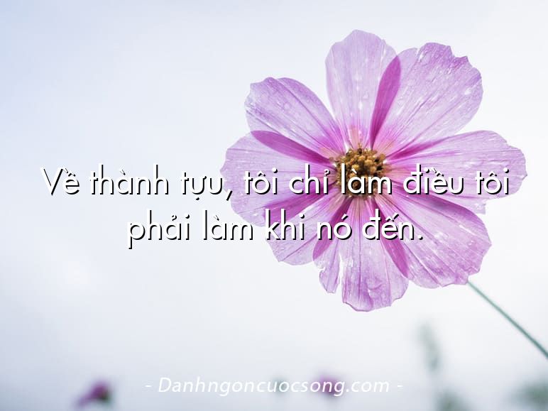 Về thành tựu, tôi chỉ làm điều tôi phải làm khi nó đến.