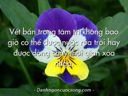 Vết bẩn trong tâm trí không bao giờ có thể được nước rửa trôi hay được dòng chảy thời gian xóa nhòa.