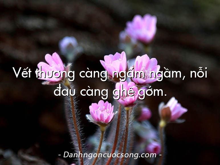 Vết thương càng ngấm ngầm, nỗi đau càng ghê gớm.
