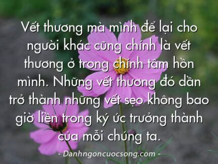 Vết thương mà mình để lại cho người khác cũng chính là vết thương ở trong chính tâm hồn mình. Những vết thương đó dần trở thành những vết sẹo không bao giờ liền trong ký ức trưởng thành của mỗi chúng ta.
