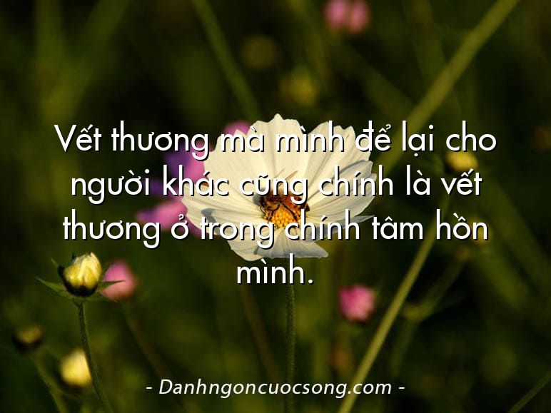 Vết thương mà mình để lại cho người khác cũng chính là vết thương ở trong chính tâm hồn mình.
