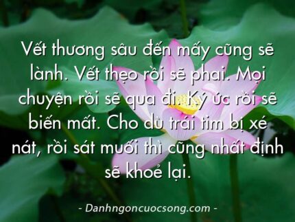 Vết thương sâu đến mấy cũng sẽ lành. Vết thẹo rồi sẽ phai. Mọi chuyện rồi sẽ qua đi. Ký ức rồi sẽ biến mất. Cho dù trái tim bị xé nát, rồi sát muối thì cũng nhất định sẽ khoẻ lại.