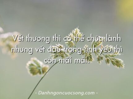 Vết thương thì có thể chữa lành nhưng vết đau trong tình yêu thì còn mãi mãi.