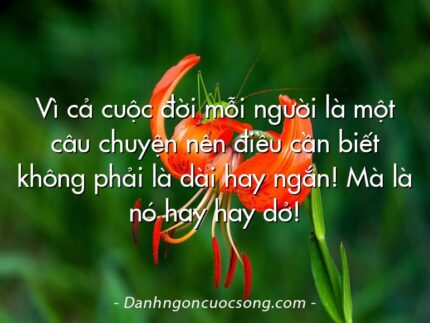 Vì cả cuộc đời mỗi người là một câu chuyện nên điều cần biết không phải là dài hay ngắn! Mà là nó hay hay dở!