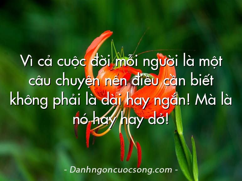 Vì cả cuộc đời mỗi người là một câu chuyện nên điều cần biết không phải là dài hay ngắn! Mà là nó hay hay dở!