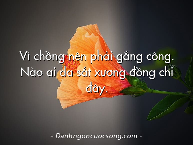Vì chồng nên phải gắng công. Nào ai da sắt xương đồng chi đây.