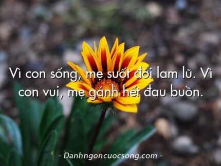 Vì con sống, mẹ suốt đời lam lũ. Vì con vui, mẹ gánh hết đau buồn.
