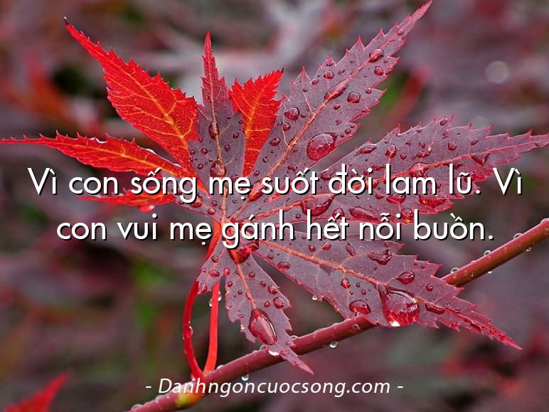Vì con sống mẹ suốt đời lam lũ. Vì con vui mẹ gánh hết nỗi buồn.