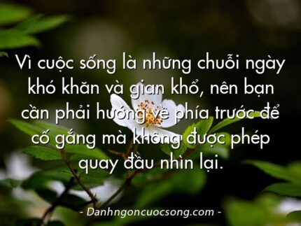 Vì cuộc sống là những chuỗi ngày khó khăn và gian khổ, nên bạn cần phải hướng về phía trước để cố gắng mà không được phép quay đầu nhìn lại.