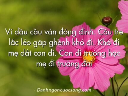 Ví dầu cầu ván đóng đinh. Cầu tre lắc lẻo gập ghềnh khó đi. Khó đi mẹ dắt con đi. Con đi trường học mẹ đi trường đời