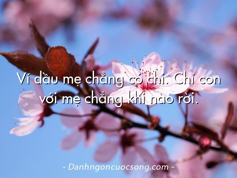 Ví dầu mẹ chẳng có chi. Chỉ con với mẹ chẳng khi nào rời.