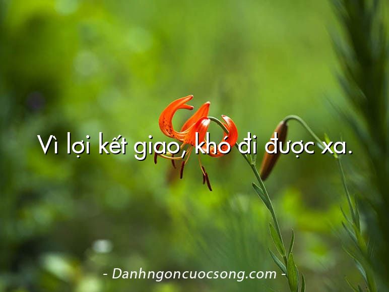 Vì lợi kết giao, khó đi được xa.