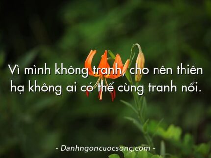 Vì mình không tranh, cho nên thiên hạ không ai có thể cùng tranh nổi.
