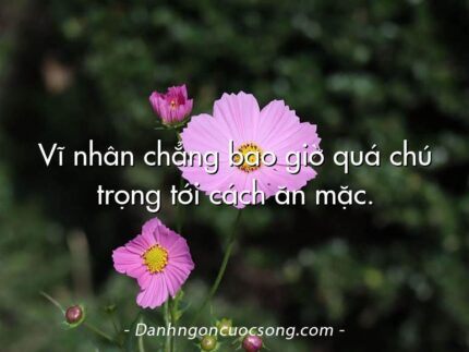 Vĩ nhân chẳng bao giờ quá chú trọng tới cách ăn mặc.
