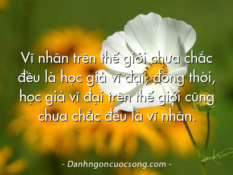 Vĩ nhân trên thế giới chưa chắc đều là học giả vĩ đại, đồng thời, học giả vĩ đại trên thế giới cũng chưa chắc đều là vĩ nhân.