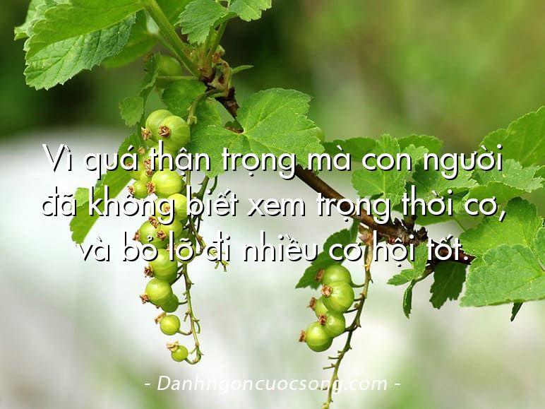 Vì quá thận trọng mà con người đã không biết xem trọng thời cơ, và bỏ lỡ đi nhiều cơ hội tốt.