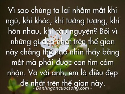 Vì sao chúng ta lại nhắm mắt khi ngủ, khi khóc, khi tưởng tượng, khi hôn nhau, khi cầu nguyện? Bởi vì những gì đẹp nhất trên thế gian này chẳng thể nào nhìn thấy bằng mắt mà phải được con tim cảm nhận. Và với anh, em là điều đẹp đẽ nhất trên thế gian này.