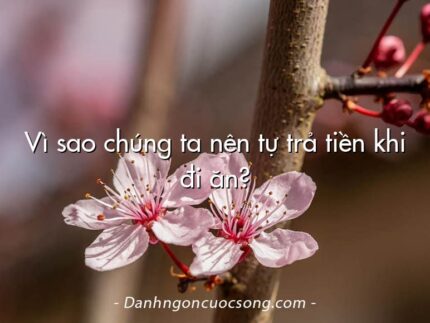 Vì sao chúng ta nên tự trả tiền khi đi ăn?